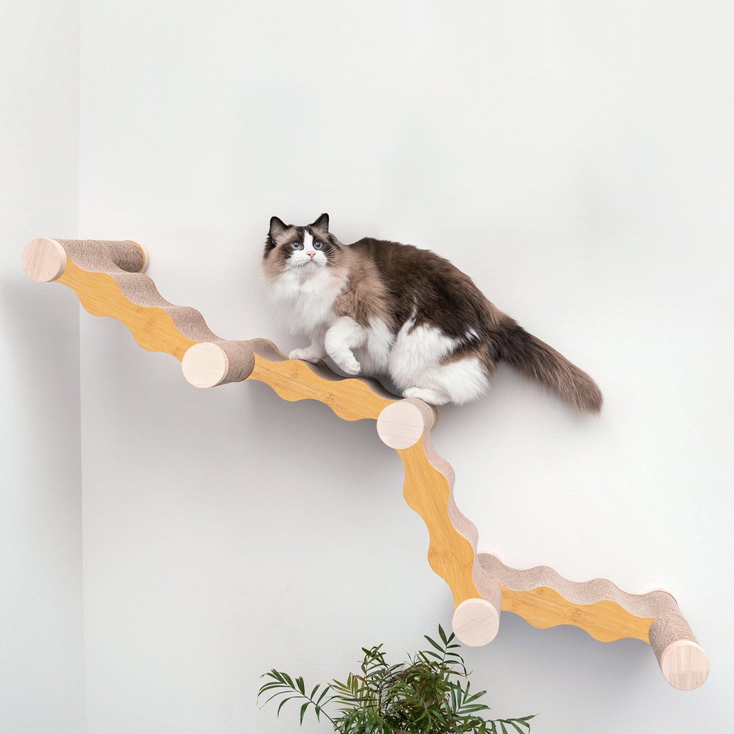 Ascentials by FurHaven Wall-Mounted Modular Scratching Perch Wave Cat Ramp (60”)