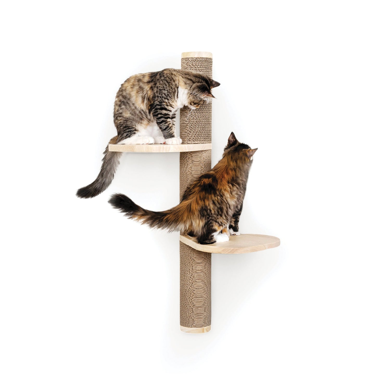 Ascentials by FurHaven Wall-Mounted Sunrise Steps Corrugated Cat Post with Perches (34”)